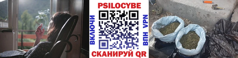 Галлюциногенные грибы Psilocybe  Кировск 